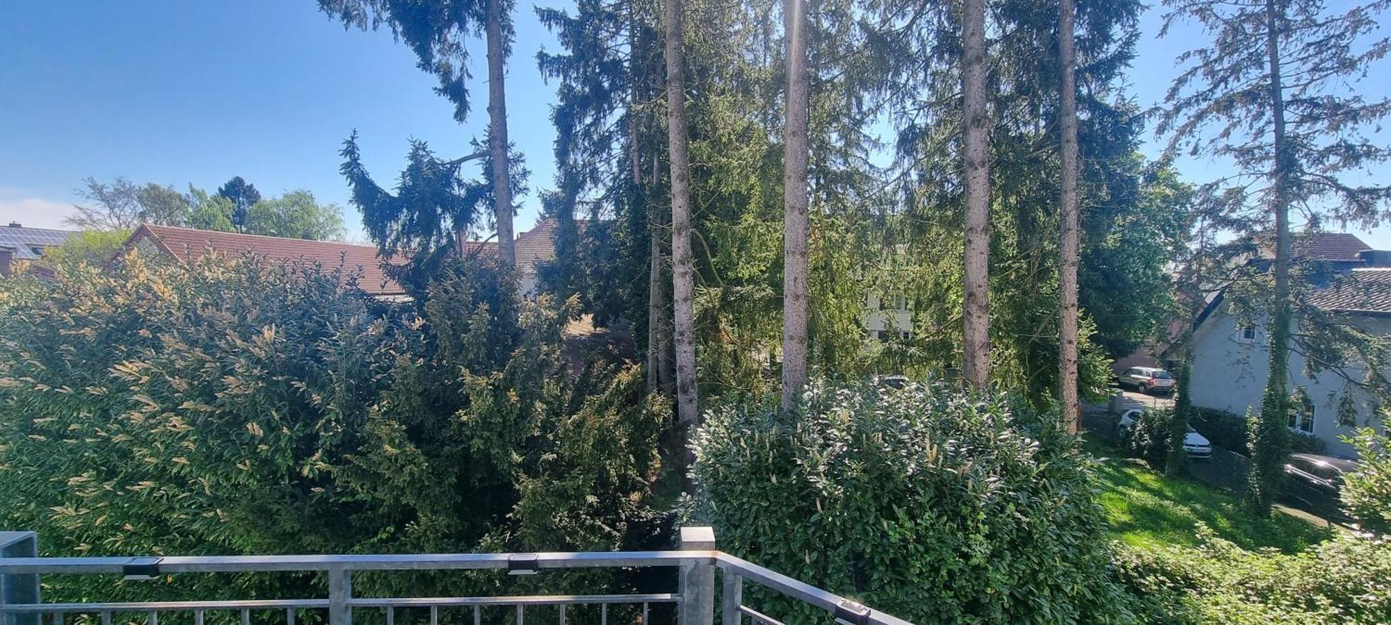 Ferienwohnung Am Kurwald In Bad Lippspringe Bagian luar foto